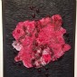 Where Oh Where Is My Little Red Square By Barbara Dunsmoor